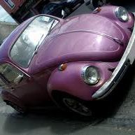 Beatle